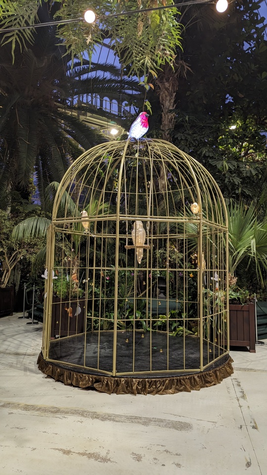 Birdcage Winter Exhibition shirls Blipfoto