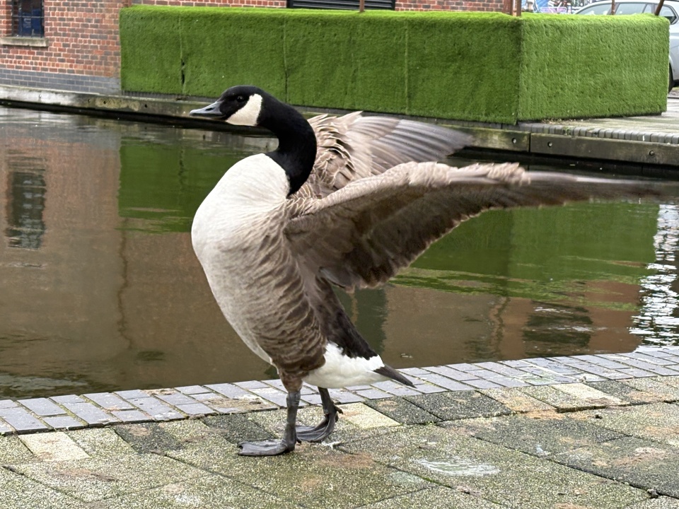 Stretching | DebR | Blipfoto