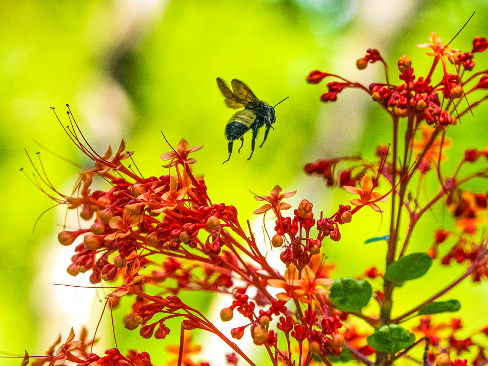 Decisions Decisions Maura143 Blipfoto decisions-decisions-maura143-blipfoto