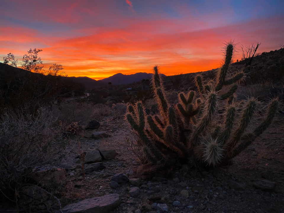 Sunset from cactus loop, Tamarisk Grove | PolS | Blipfoto