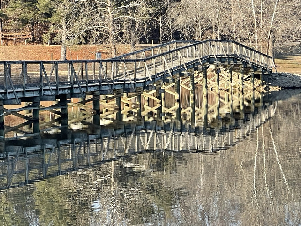 Bridge fun | RT111865 | Blipfoto