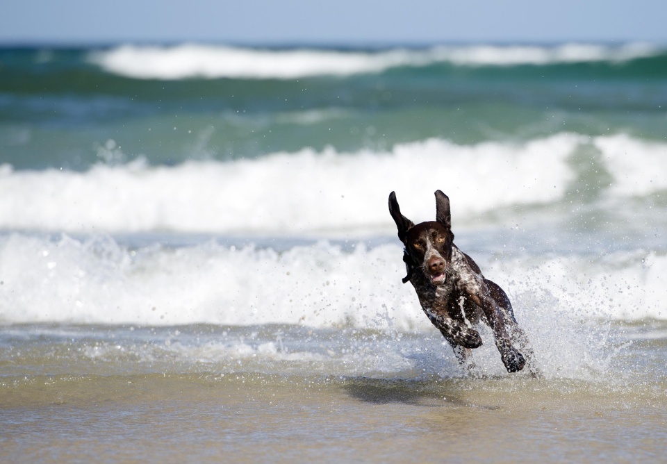 Nelson surfing MrAshley Blipfoto