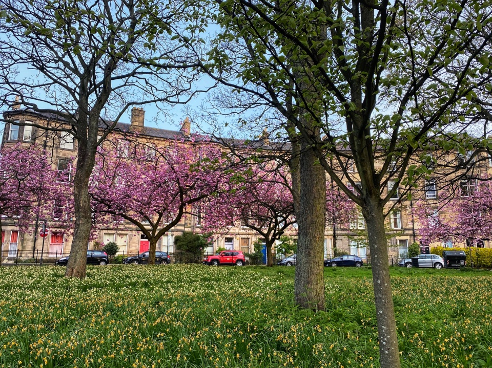 Here We Go Again Leven Terrace LadyFindhorn Blipfoto