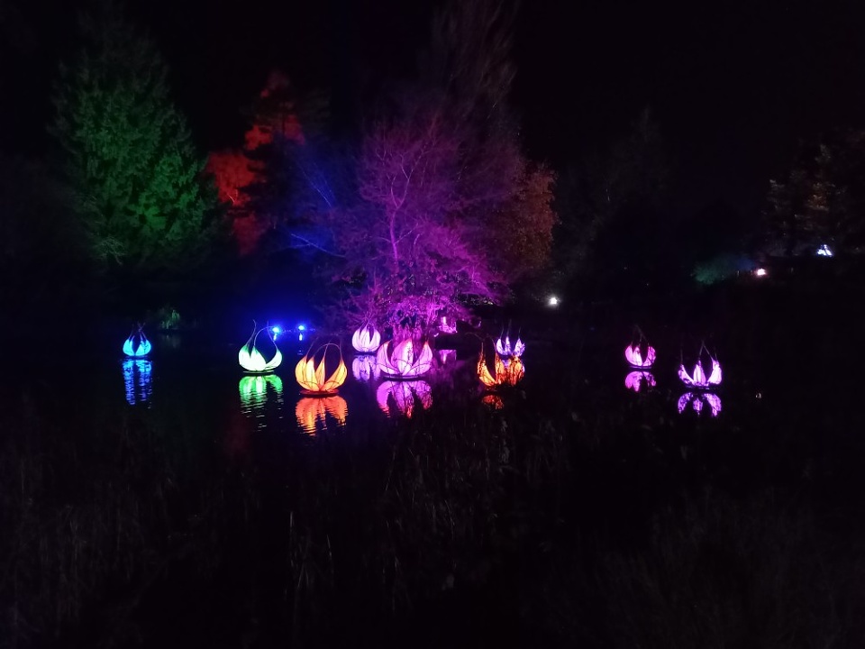 Botanic Gardens light show MatthewAndMummy Blipfoto