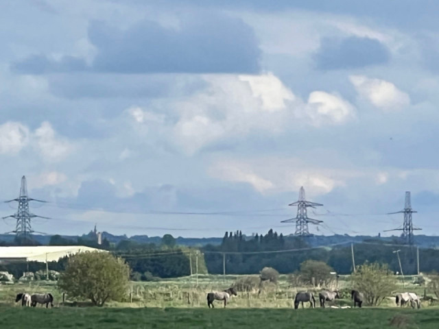 Farm and pylons