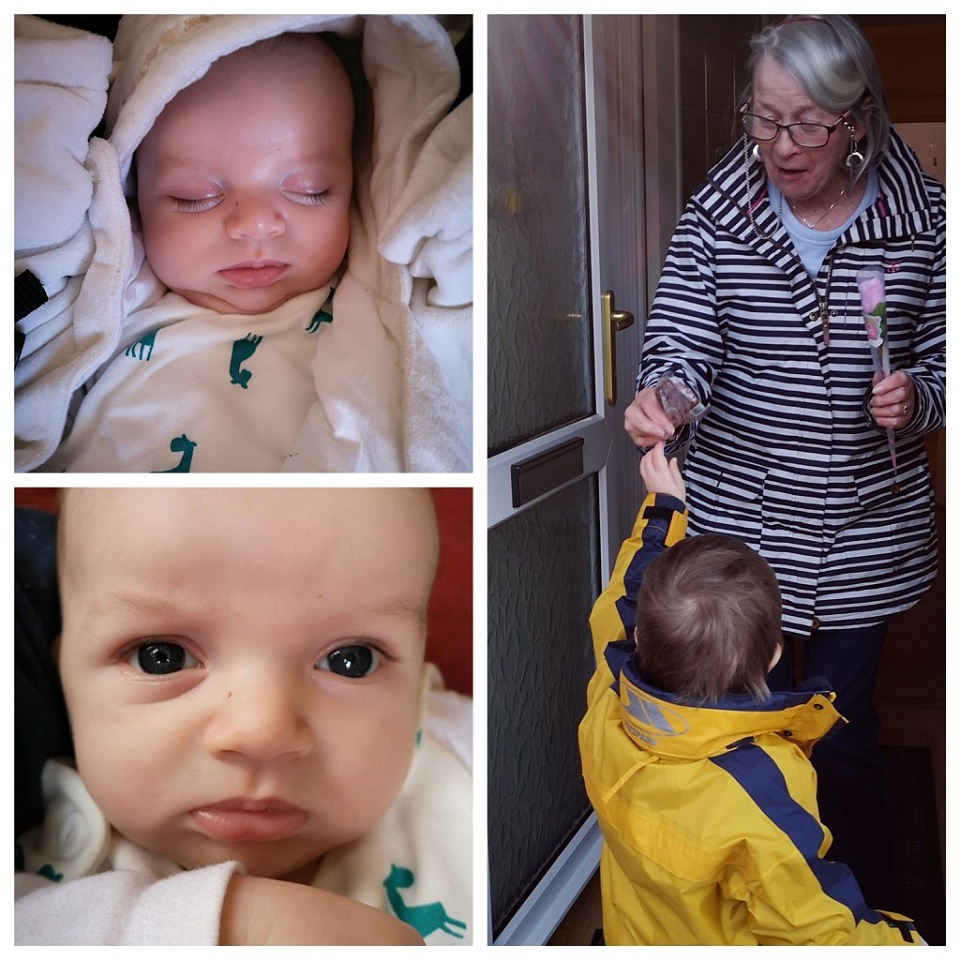 A mixed bag. MumOf4Wildlings Blipfoto