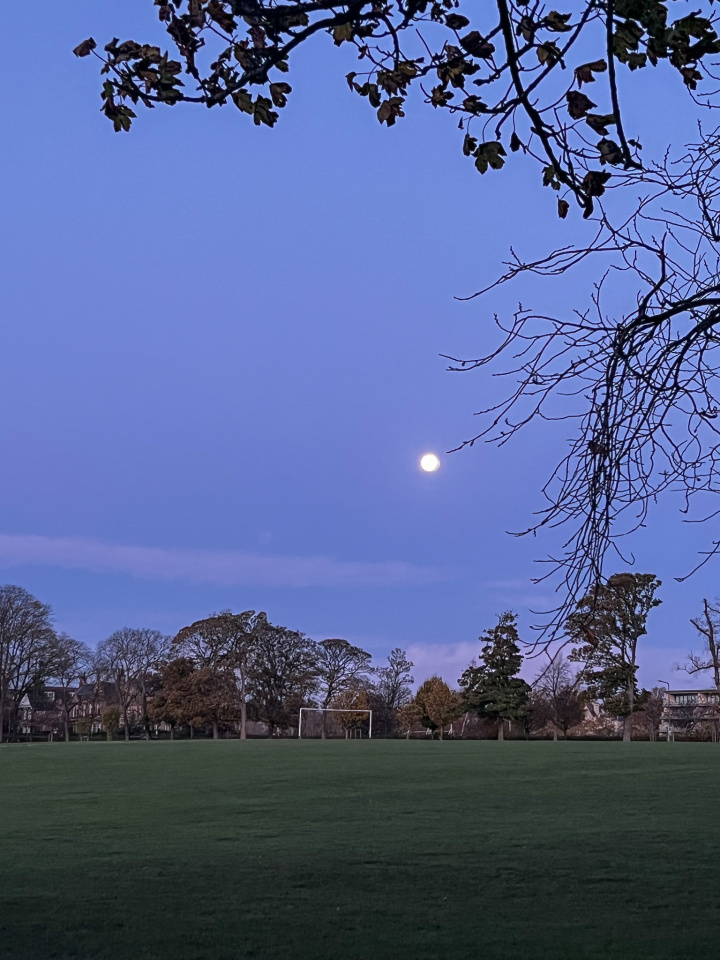full-moon-park-walk-redditchrascal-blipfoto