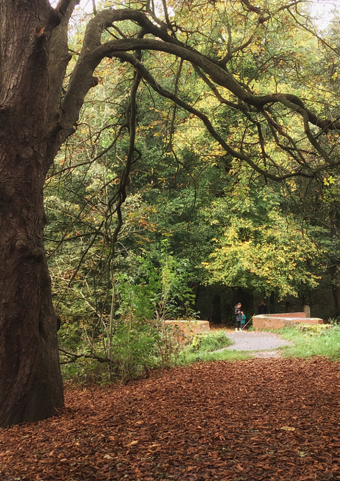 Highgate Wood Map