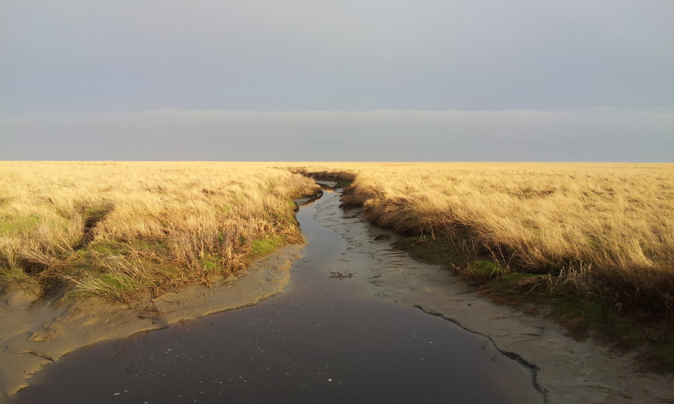 Wadden See Germany | Bridportsam | Blipfoto Wadden See Germany | Bridportsam