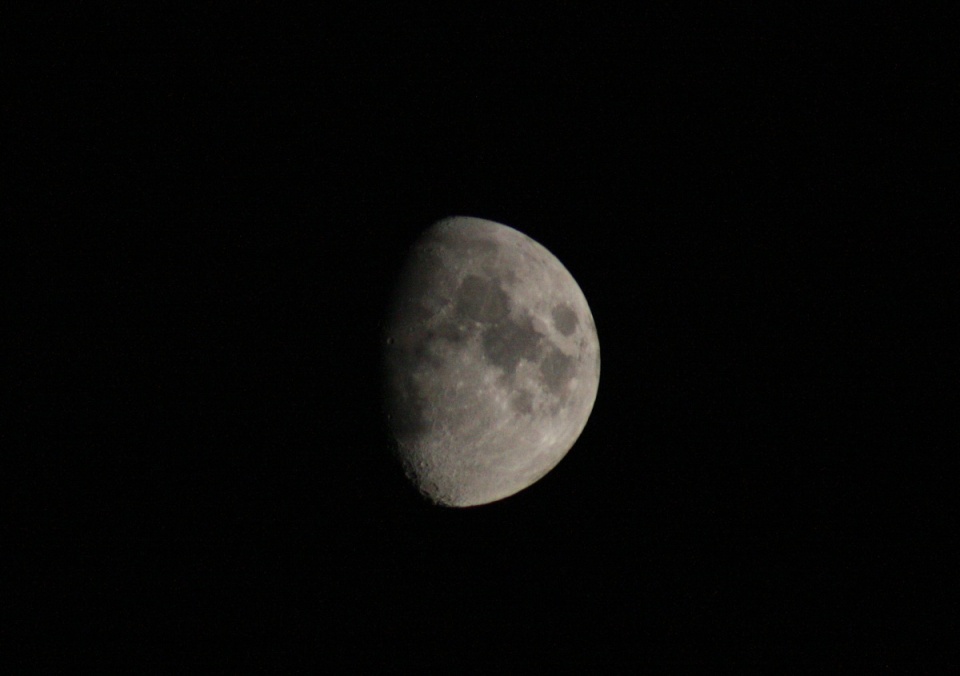 moon | swampy316 | Blipfoto moon | swampy316