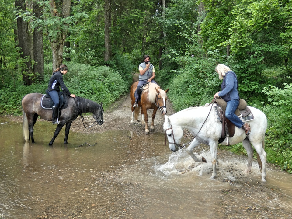 Saddle Up schorschi Blipfoto