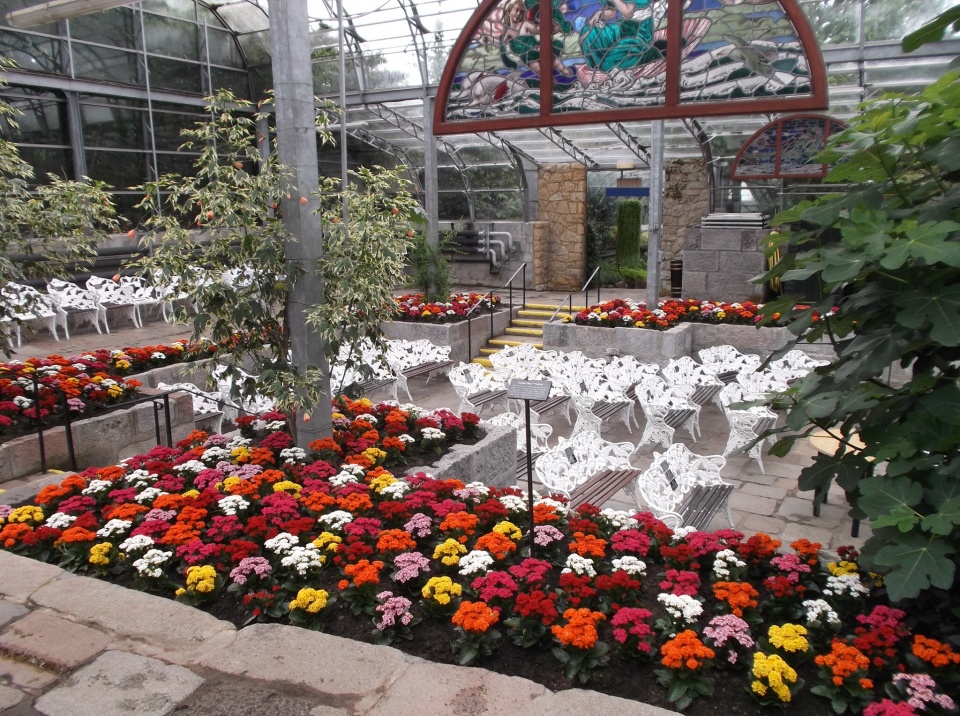 Winter Gardens Aberdeen skater Blipfoto