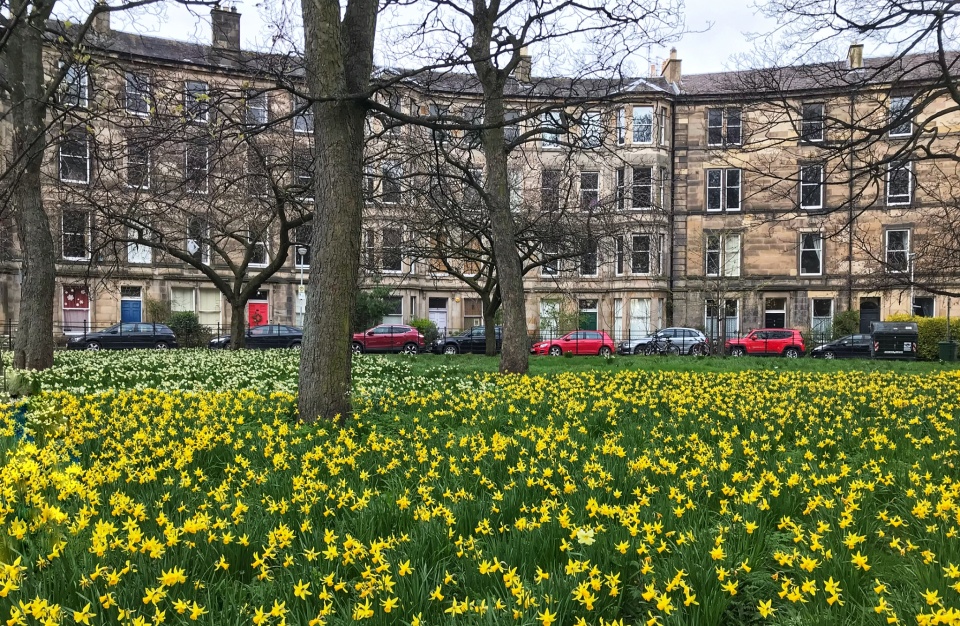 Leven Terrace LadyFindhorn Blipfoto