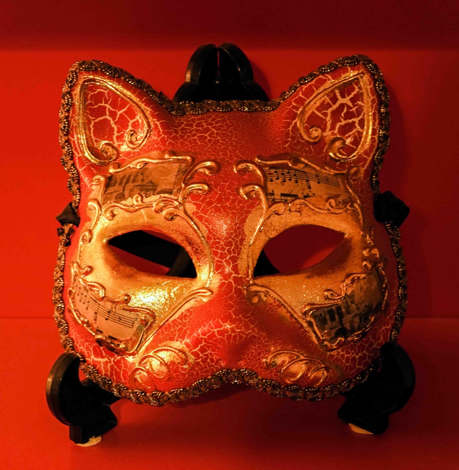 New Orleans carnival mask mpp26 Blipfoto