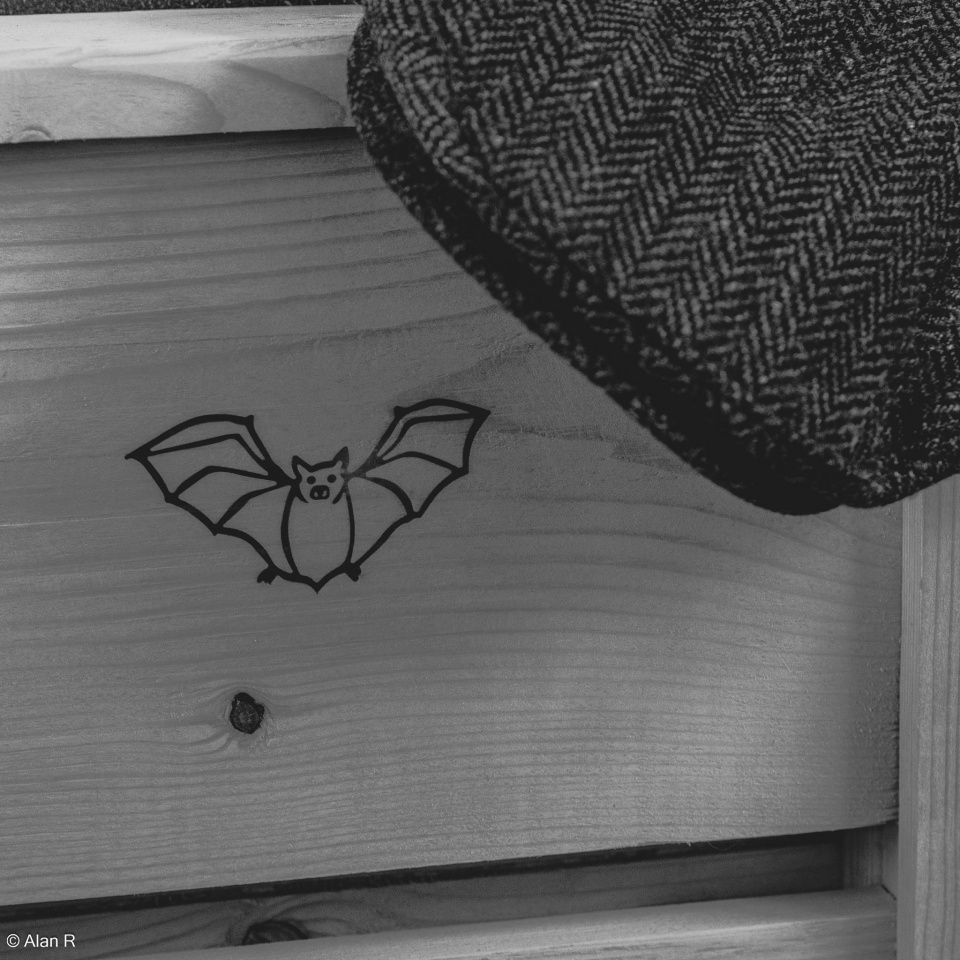 Bat box Hat Beyond A JohnEdward Blipfoto