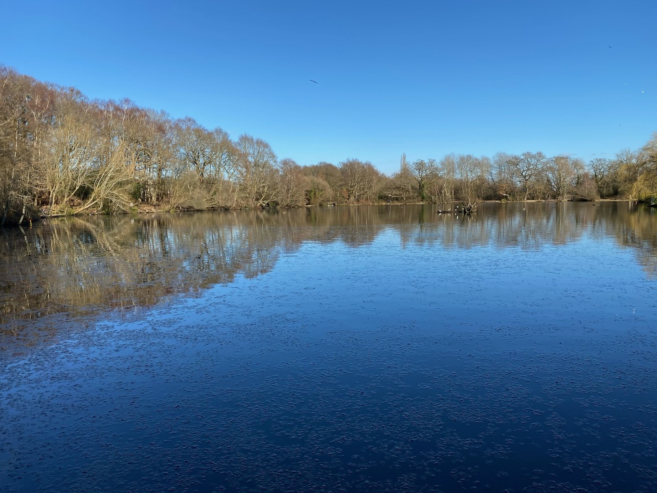 Brittons Pond | pauline1953 | Blipfoto