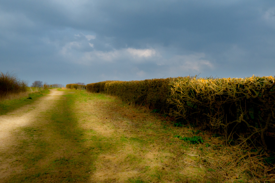 More Countryside | stuarteff | Blipfoto More Countryside | stuarteff