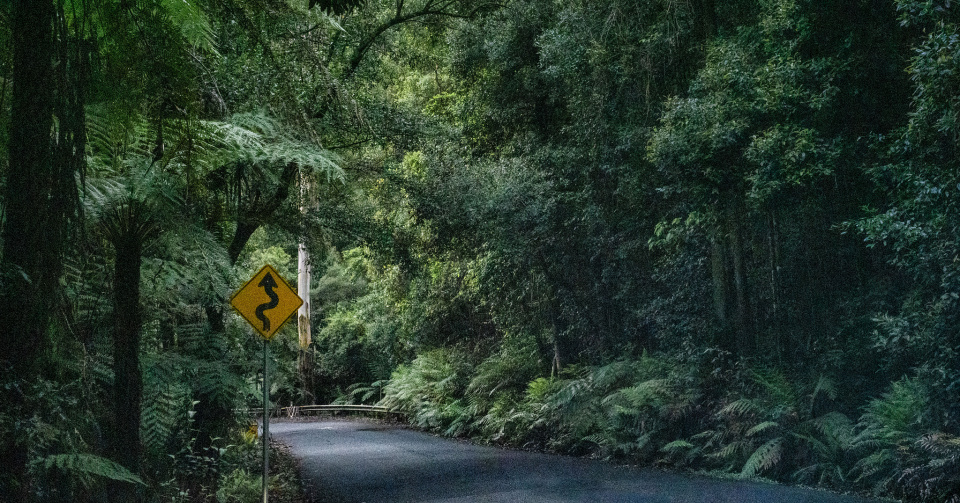 Megalong Road | trisharooni | Blipfoto