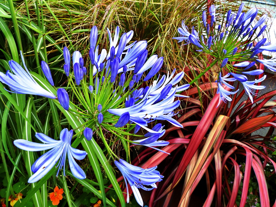 On the terrace | serpentine | Blipfoto