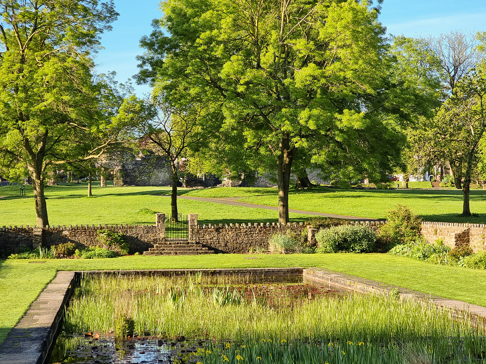 Lily Pond micro43 Blipfoto
