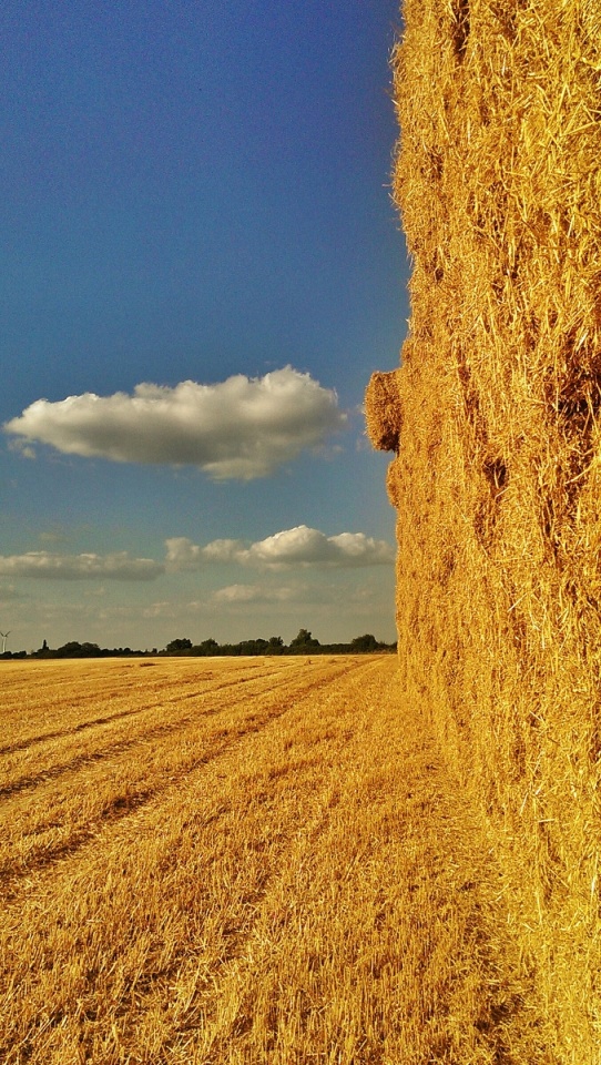 Giant Haystacks