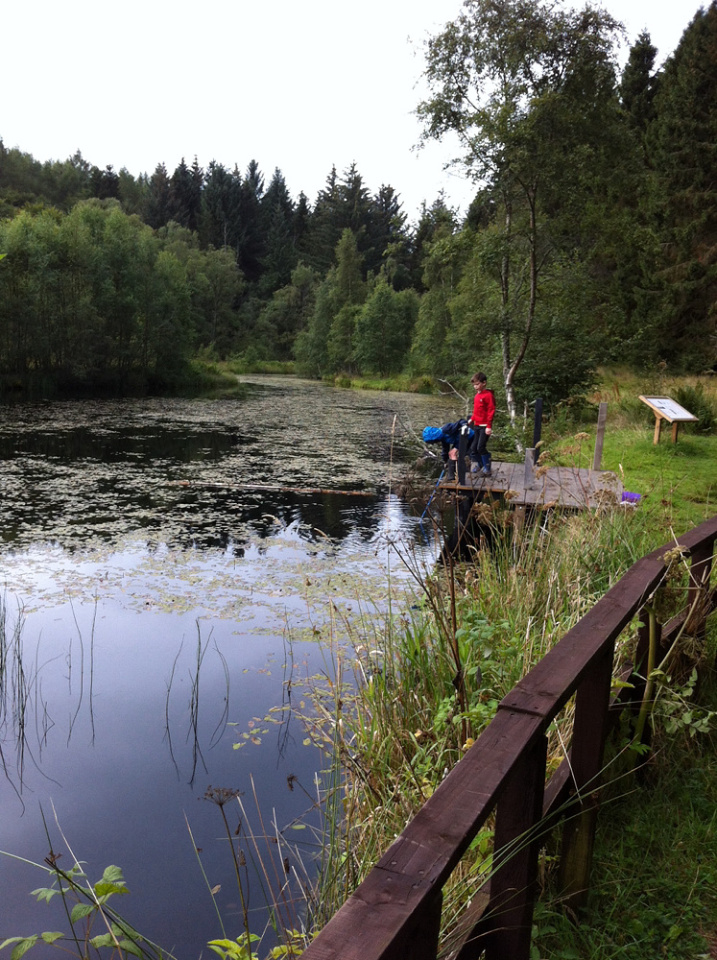 bandy net fishing Boy with a bandy net | Fido