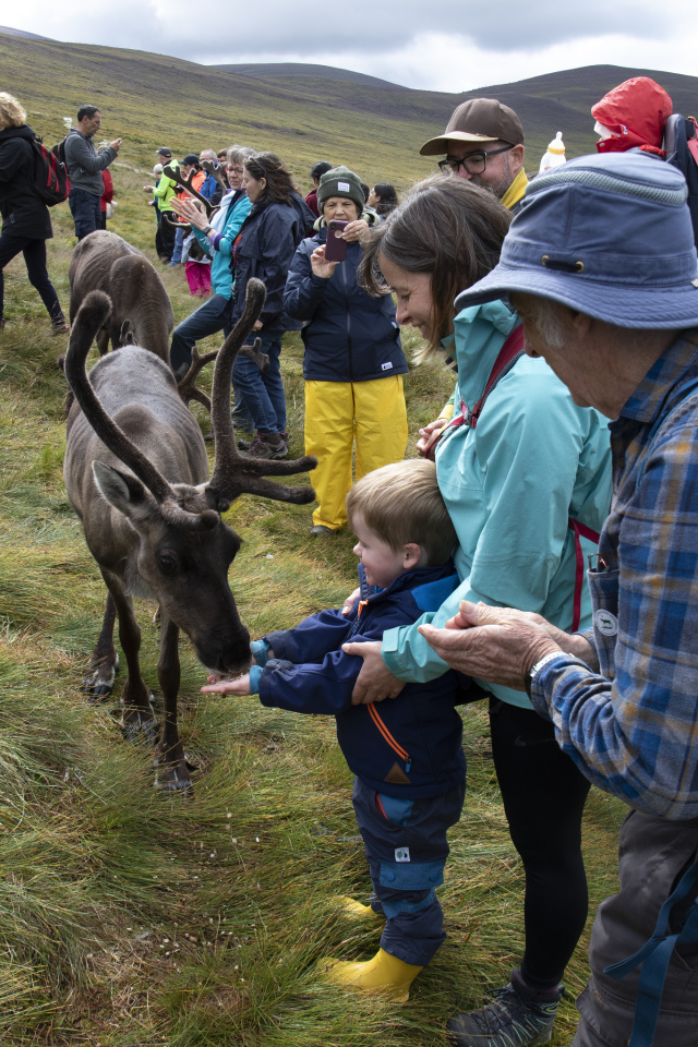 Meeting the Reindeer Wendles56 Blipfoto