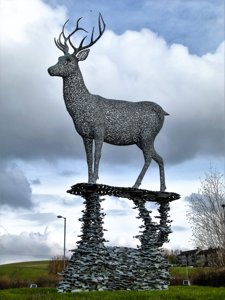 Lomondgate Stag LomondLad Blipfoto