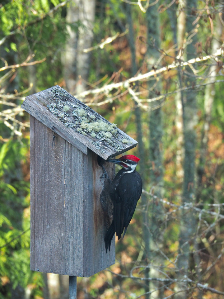 House Hunting Connections Blipfoto