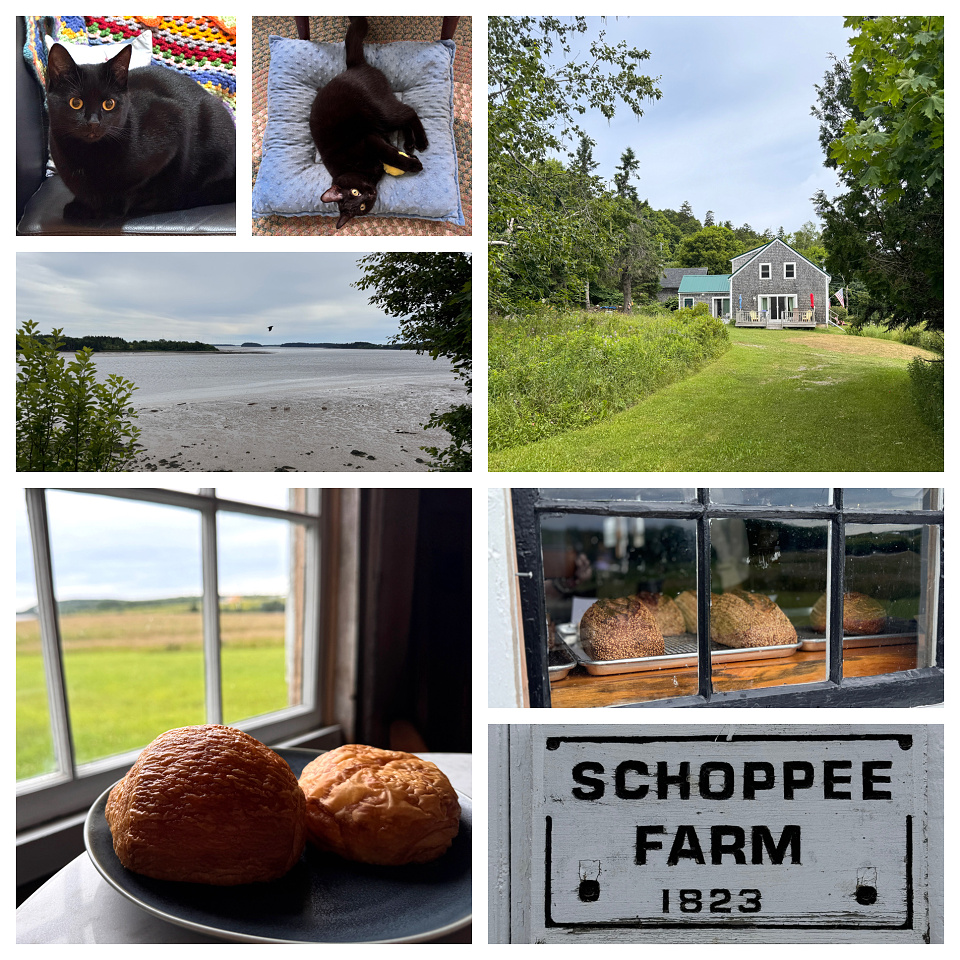 Machiasport Maine, Day 2 justbe Blipfoto