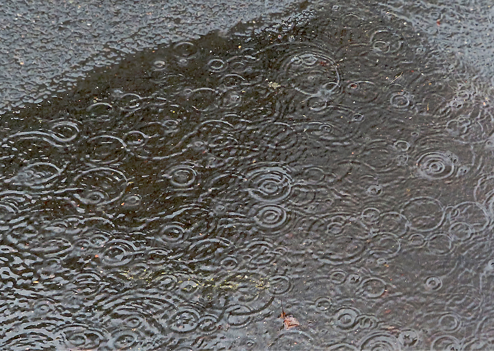 Puddle Waves ... | VandeGraaff | Blipfoto