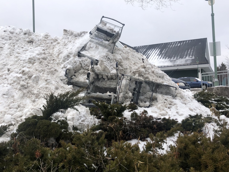 Shopping cart graveyard. HedgeHouse Blipfoto