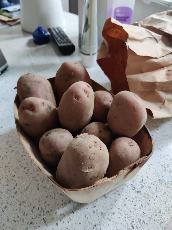 Chitting seed potatoes for planting Idea