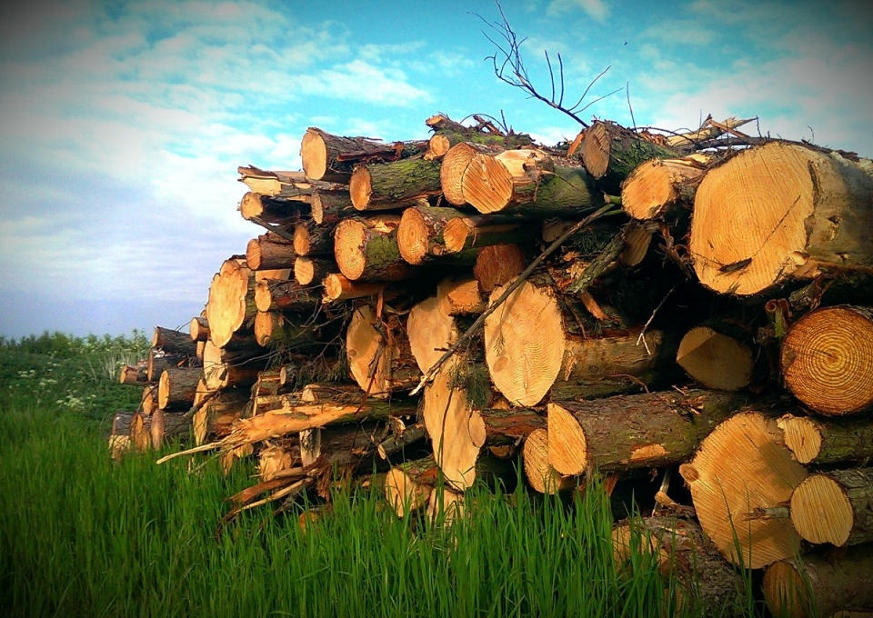 A lesson in life/blip...