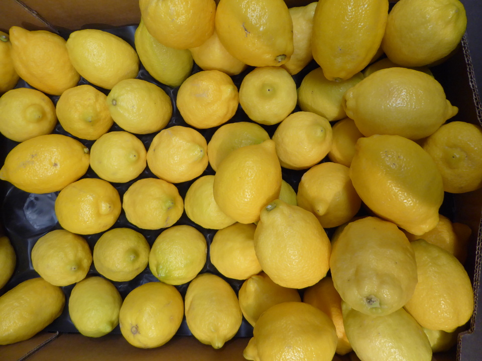 What does if life deals you lemons make lemonade mean