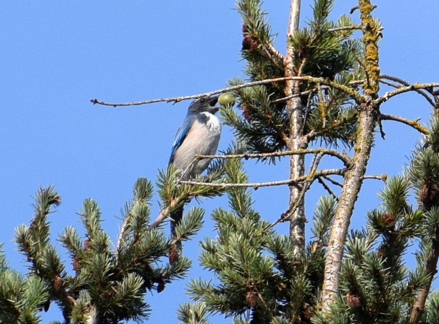 supper-time-johnsmiley1321-blipfoto