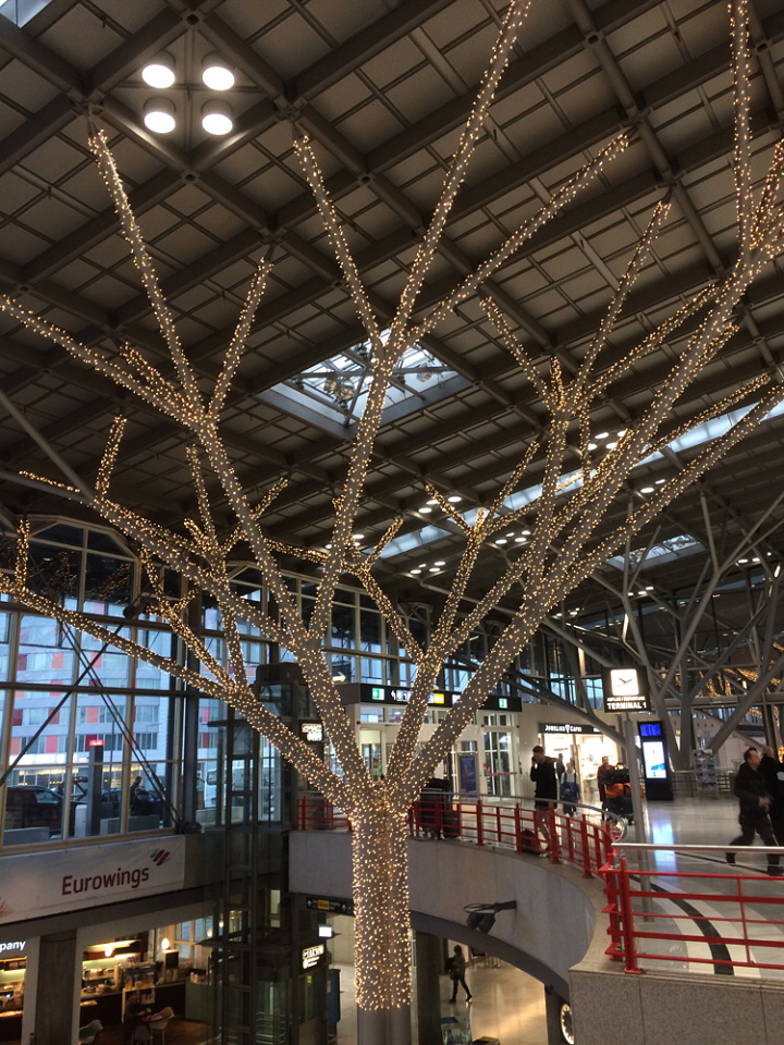 Airport tree apphoto Blipfoto