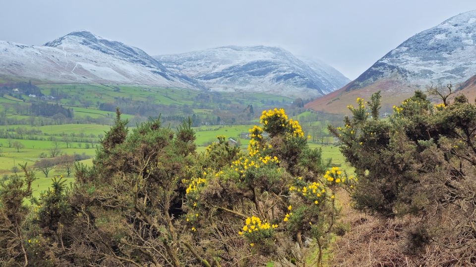fresh-overnight-snow-trevorearthy-blipfoto