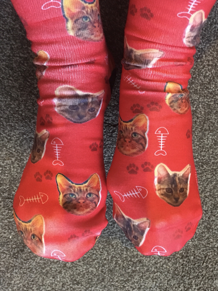 Cats on Socks This Blipfoto