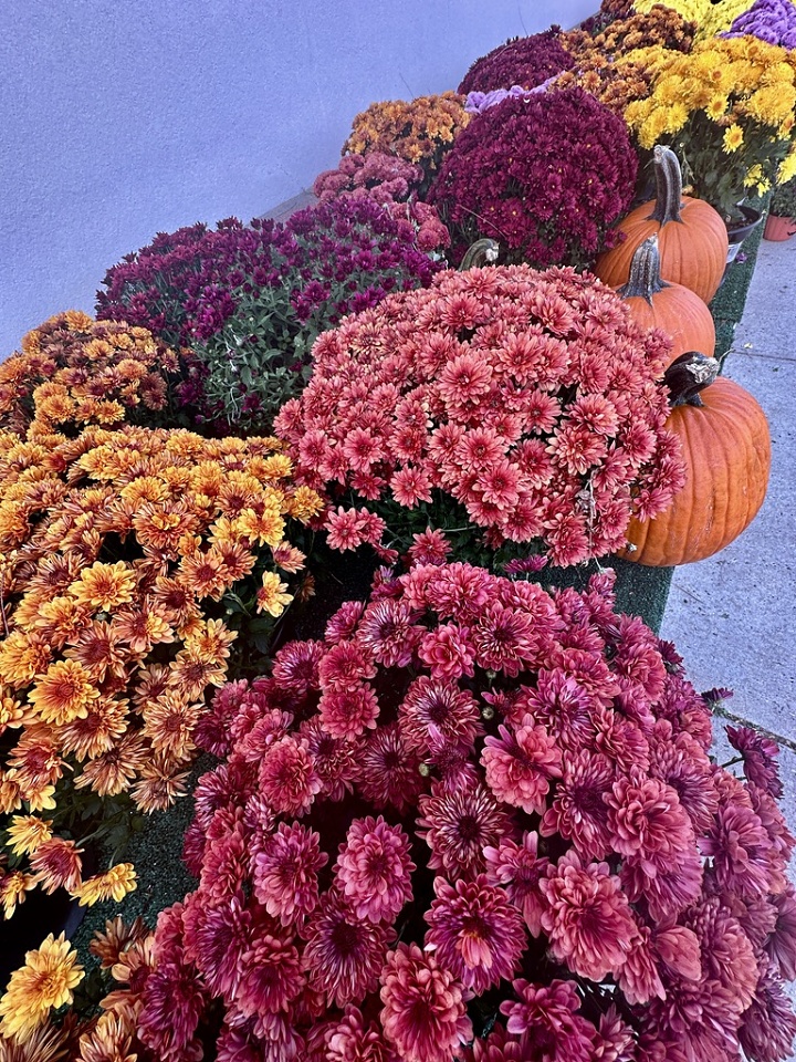 Mums the Word | GenuineBlip | Blipfoto