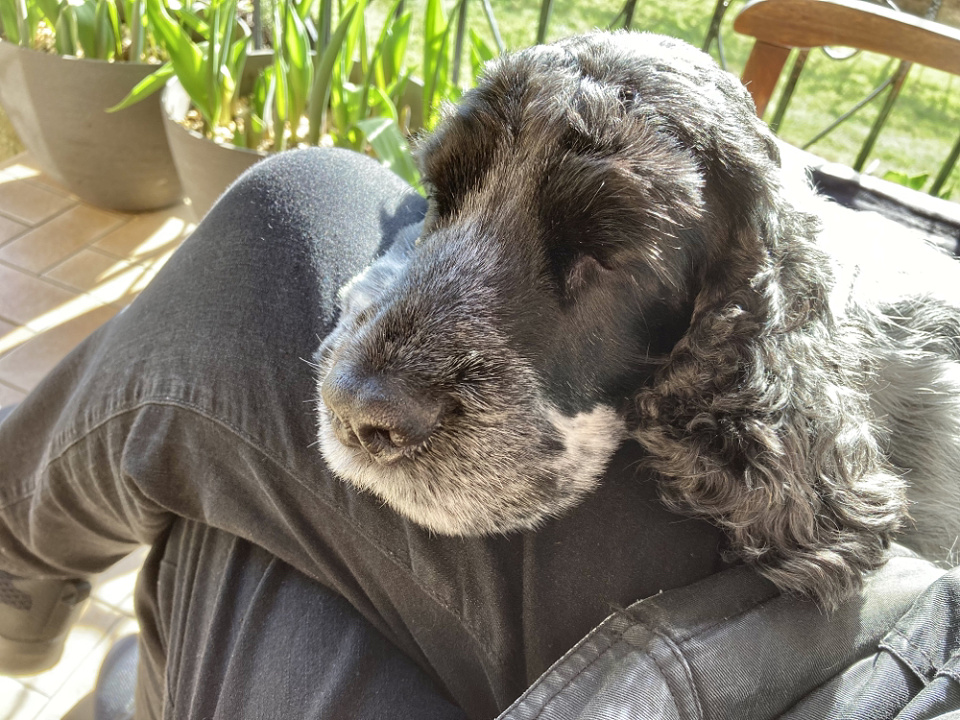 contentment-maggied-blipfoto