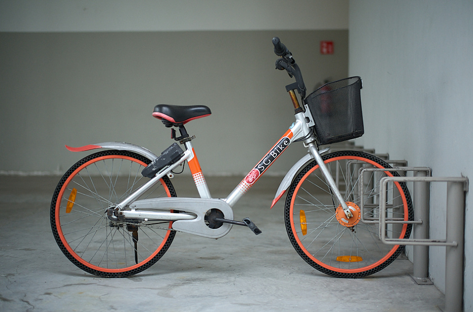 skyang alpha cycles price