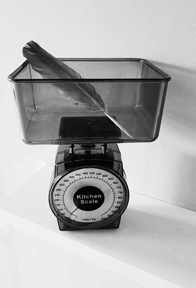 mono-monday-book-title-evolybab-blipfoto
