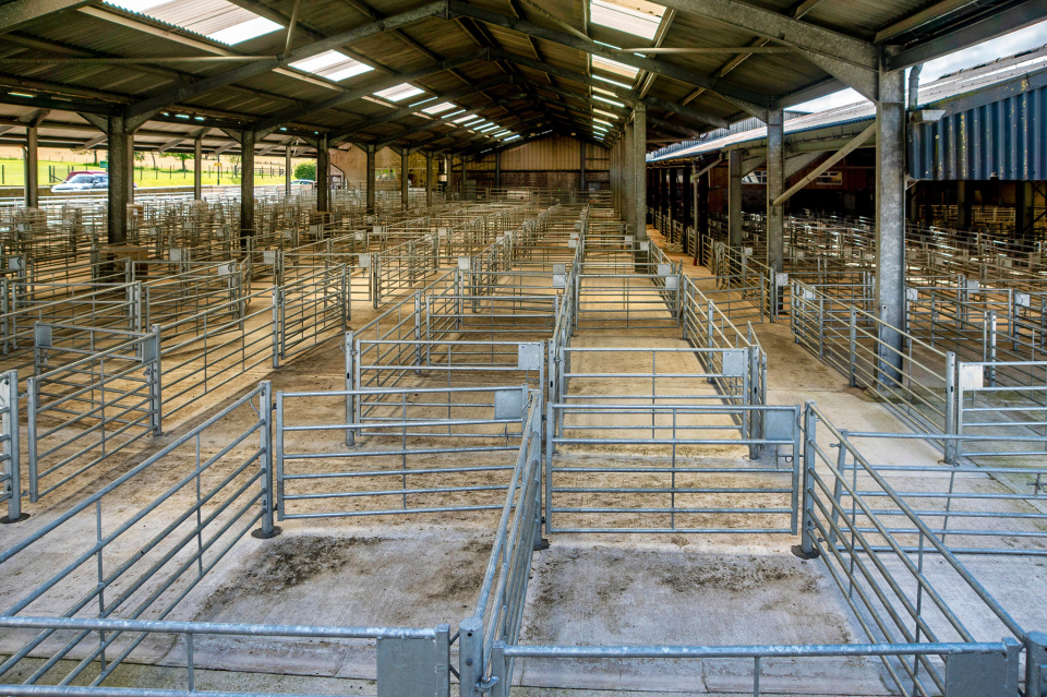 gisburn-auction-mart-midgeholedave-blipfoto