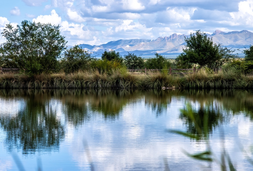 Canoa Lake | laurie54 | Blipfoto
