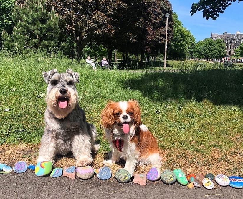 Archie meets Roxy | LadyMarchmont | Blipfoto