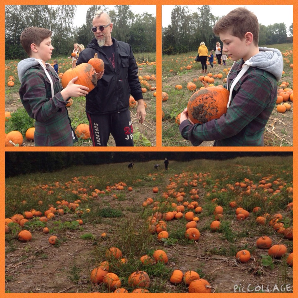 Garsons farm Katherineellis Blipfoto