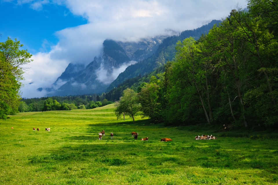 We live in a rather idyllic setting | Reike | Blipfoto