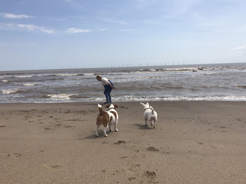 Why have a dog and bark yourself ? JaneW Blipfoto