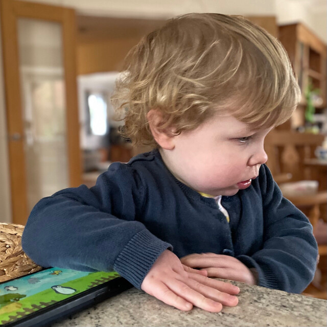 Nice Morning With Willow HuwThomas Blipfoto Nice Morning With Willow HuwThomas Blipfoto